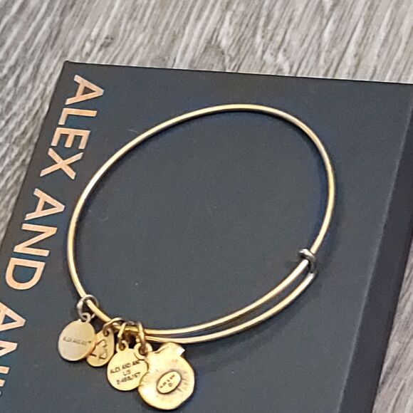 Alex and Ani Apple of Abundance Charm Bracelet - Picture 11 of 11